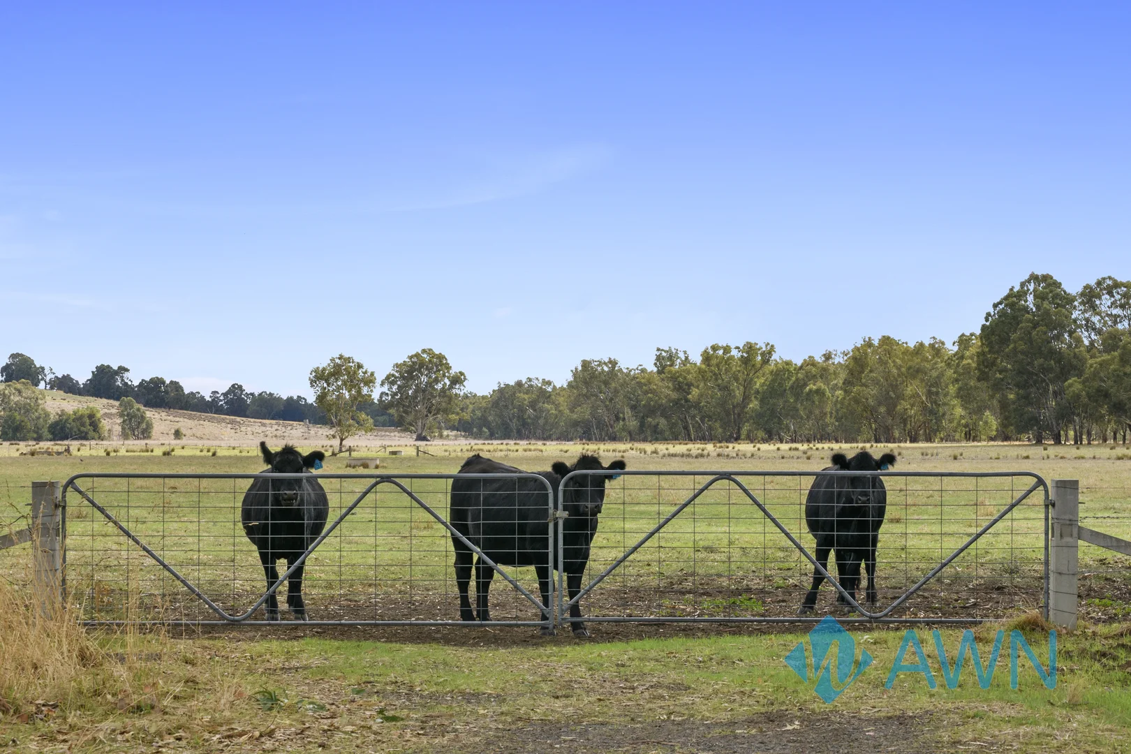 Additional image 35 of 252 Welshs Road, Baddaginnie VIC 3670