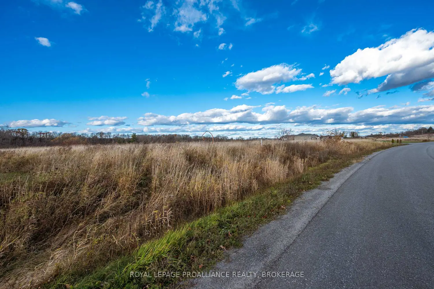 Additional image 16 of 201 Mann Drive