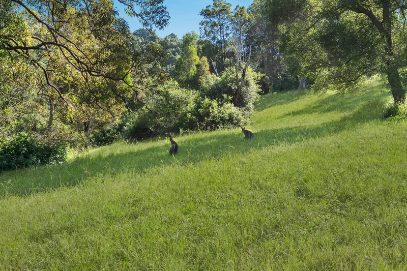 Additional image 8 of Bond Road, King Scrub QLD 4521