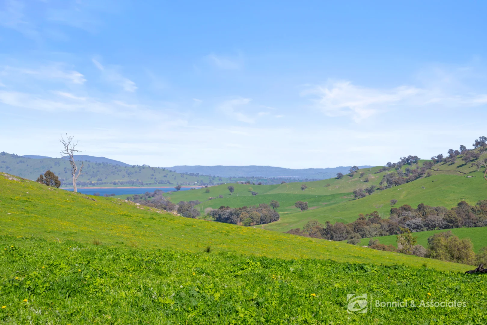 Additional image 11 of "THE OAKS" Bethanga Bay Road, Bethanga VIC 3691