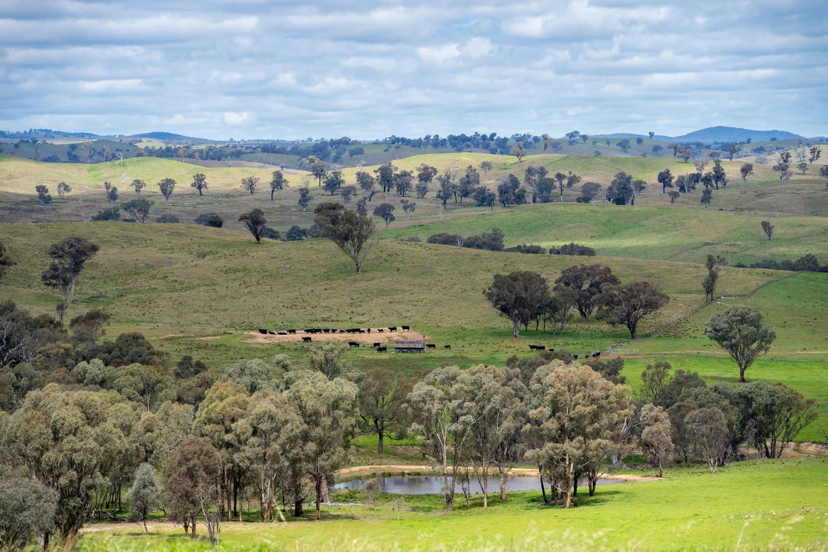 Additional image 16 of 'Cronga Peak' 157 Cronga Peak Road, Molong NSW 2866