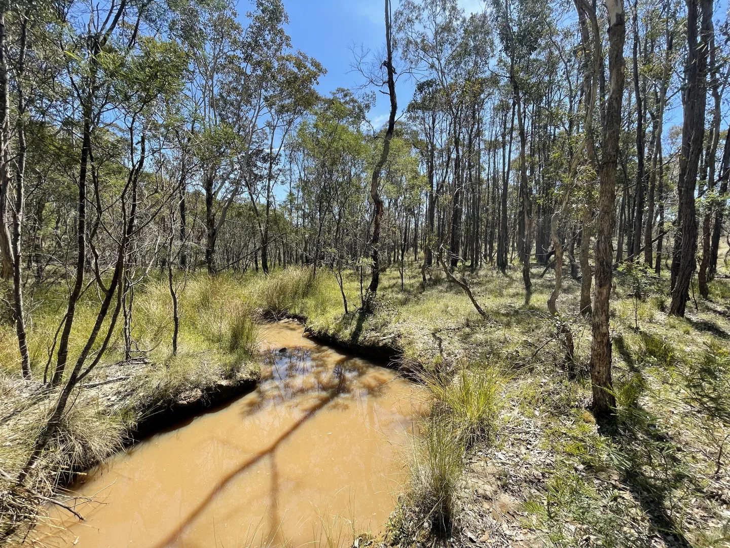 Additional image 14 of 925 Marked Tree Road, Gundaroo NSW 2620