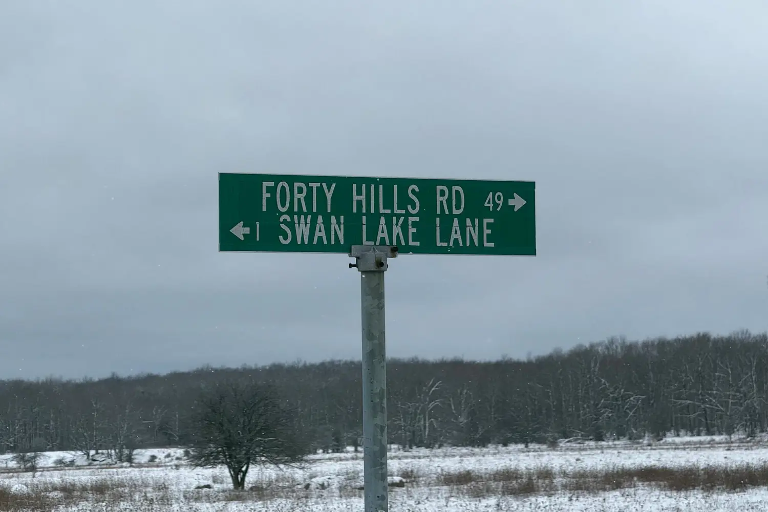 Additional image 2 of Ptlt 37 Swan Lake Lane