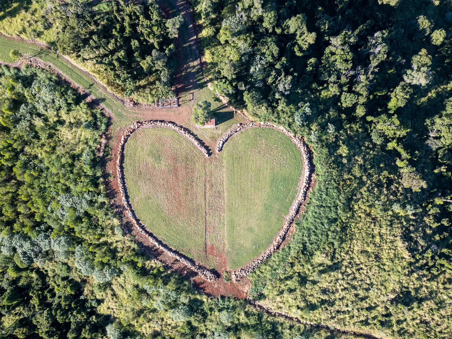 Additional image 8 of 123 Lutter Road, Charlwood QLD 4309