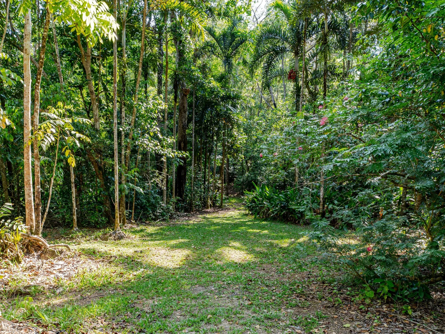 Additional image 17 of 2905 Mossman Daintree Road, Lower Daintree QLD 4873