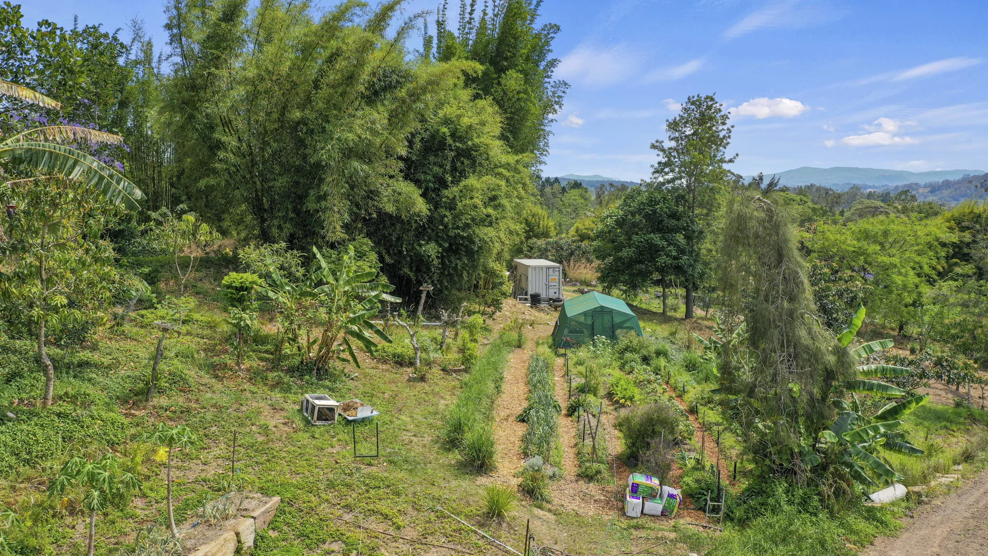 Additional image 6 of Share D5/1158 Pinchin Road, The Channon NSW 2480