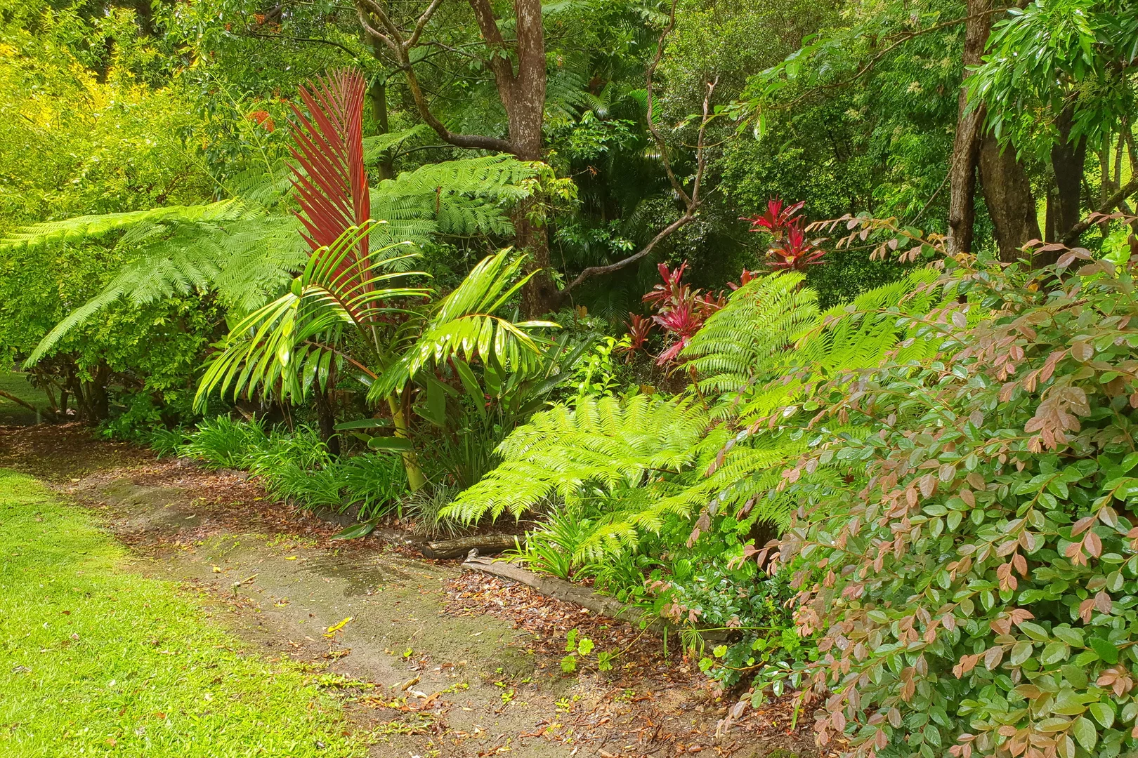 Additional image 54 of 30 Tanglewood Drive, Tanglewood NSW 2488