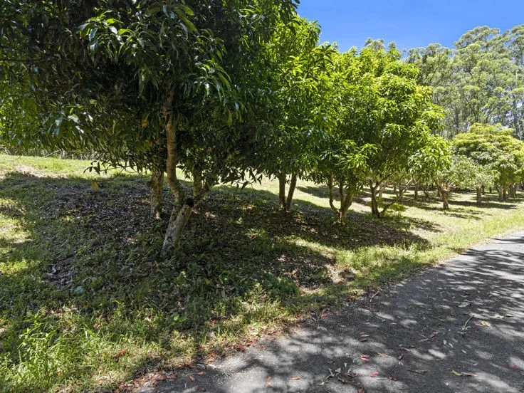 Additional image 14 of 347 Pottsville Road, Sleepy Hollow NSW 2483