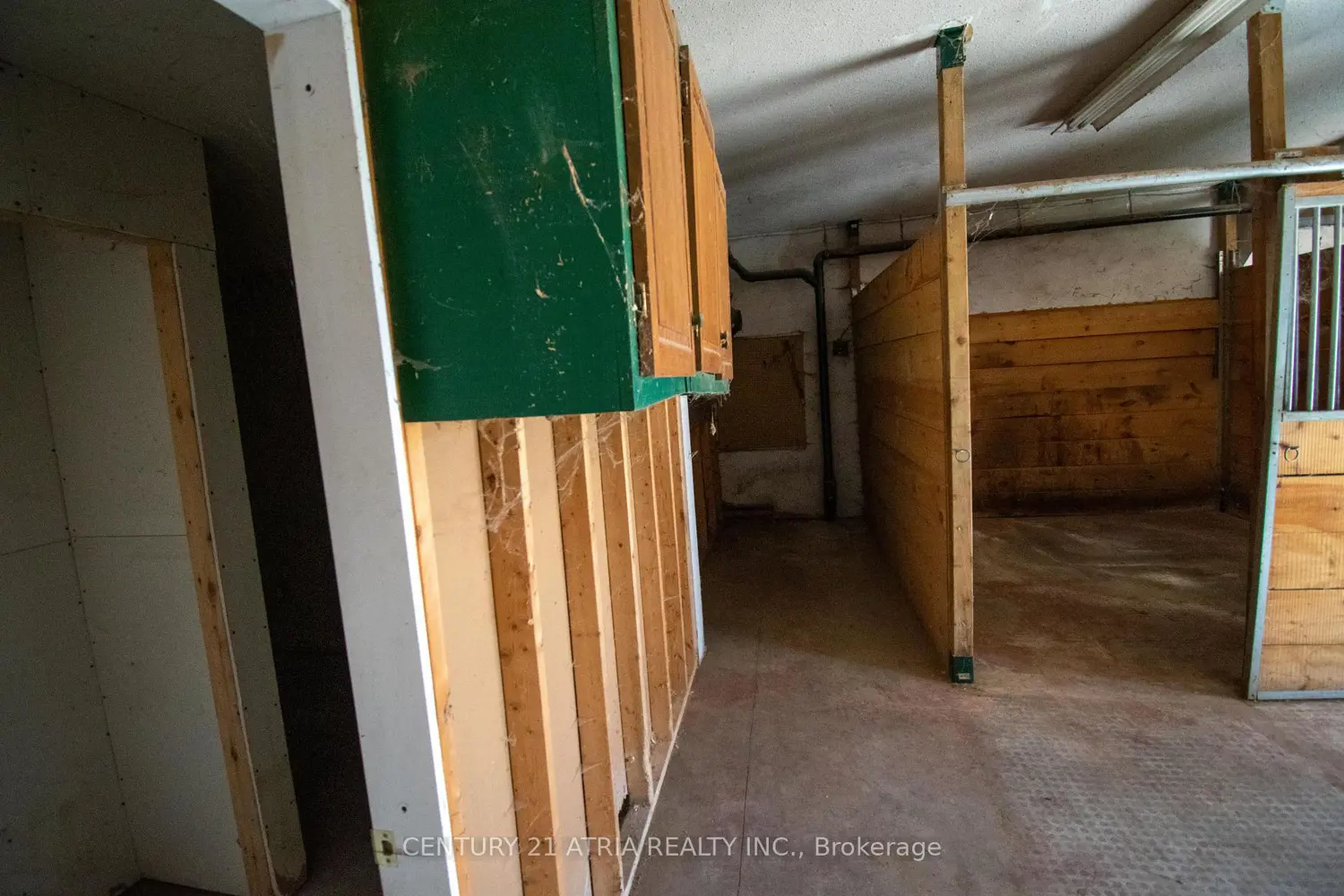 Additional image 16 of 119 Knapp Street