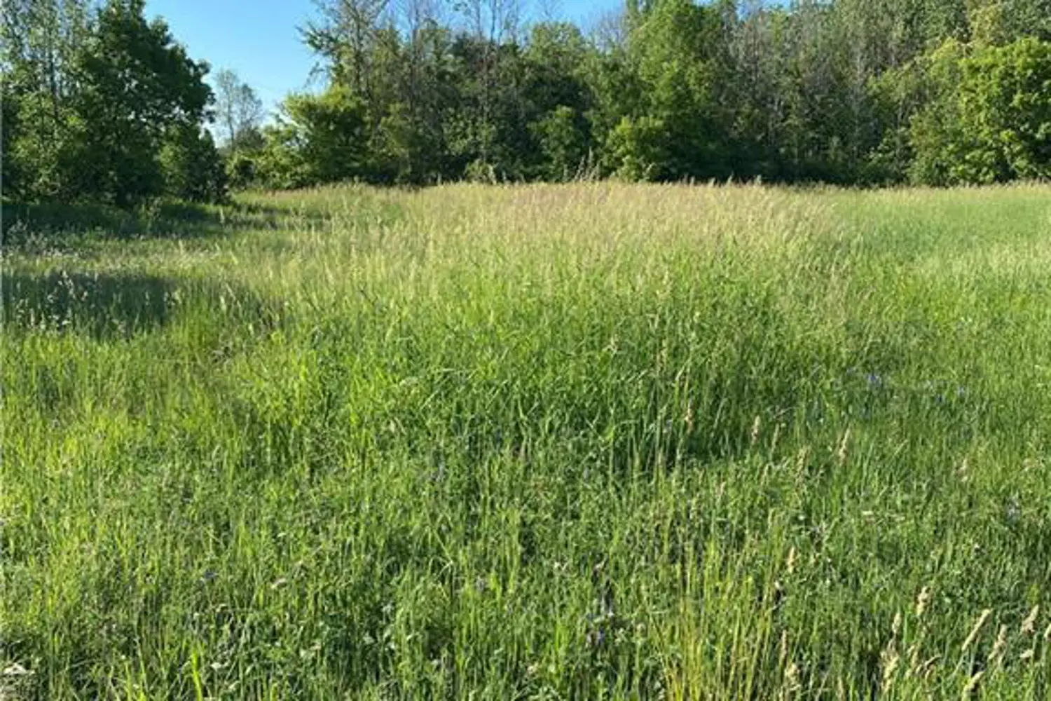 Additional image 4 of L12c1p2 Union Road