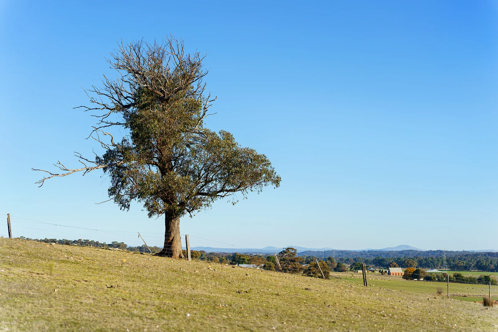 Additional image 13 of 275 Castlemaine-Maldon Road, Muckleford VIC 3451