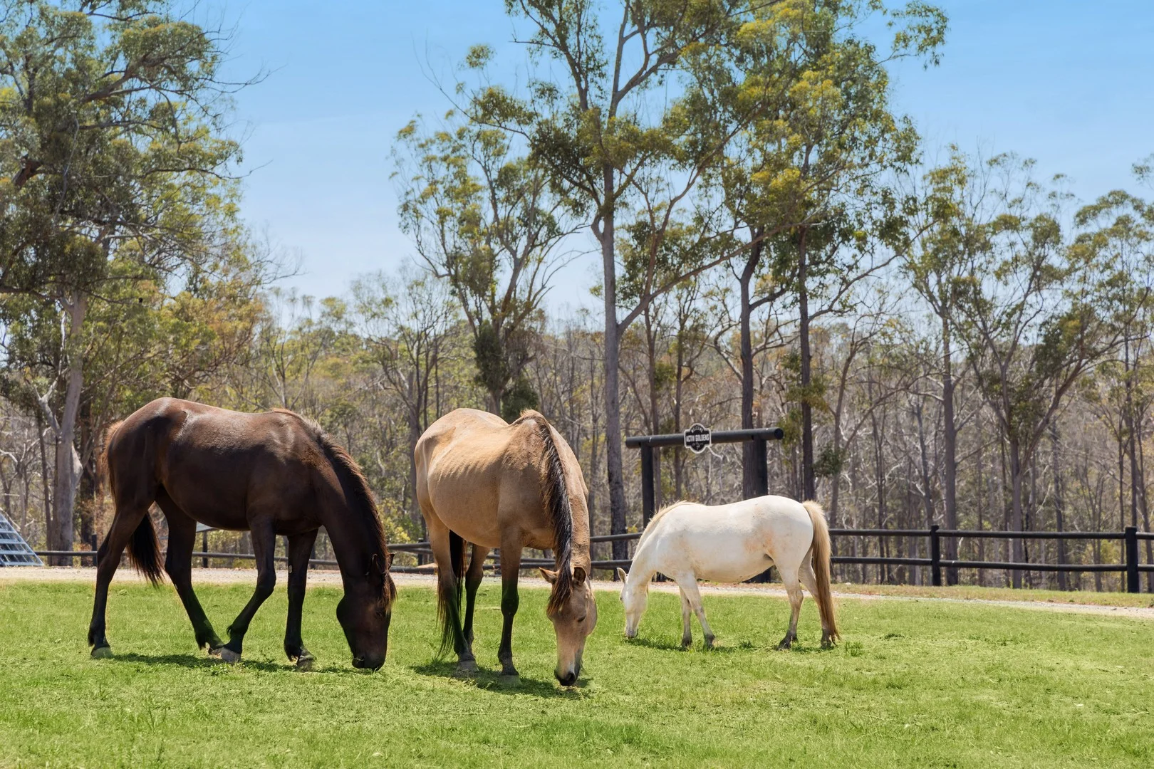 Additional image 6 of 435 Ford Road, Priestdale QLD 4127