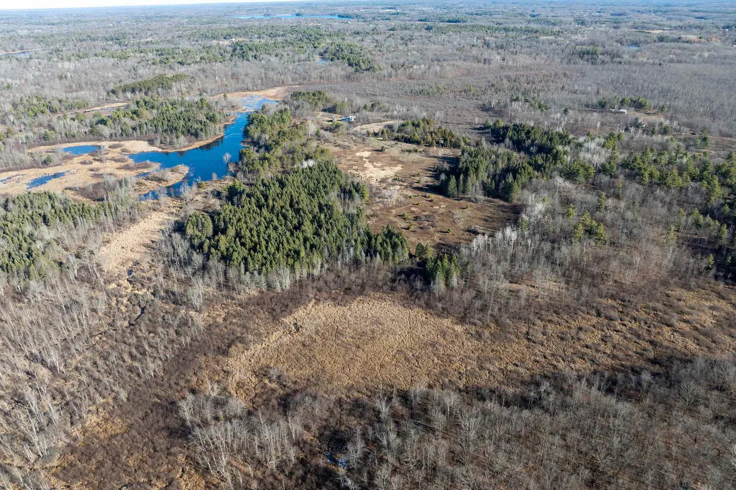 1236 Davey Road photo 4