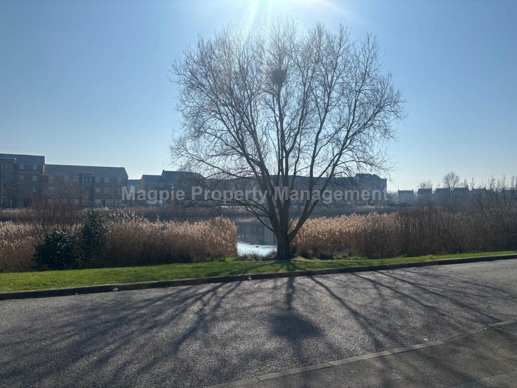 Additional image 14 of 3 bed town house to rentLakeview Way, Hampton Hargate, Peterborough PE7