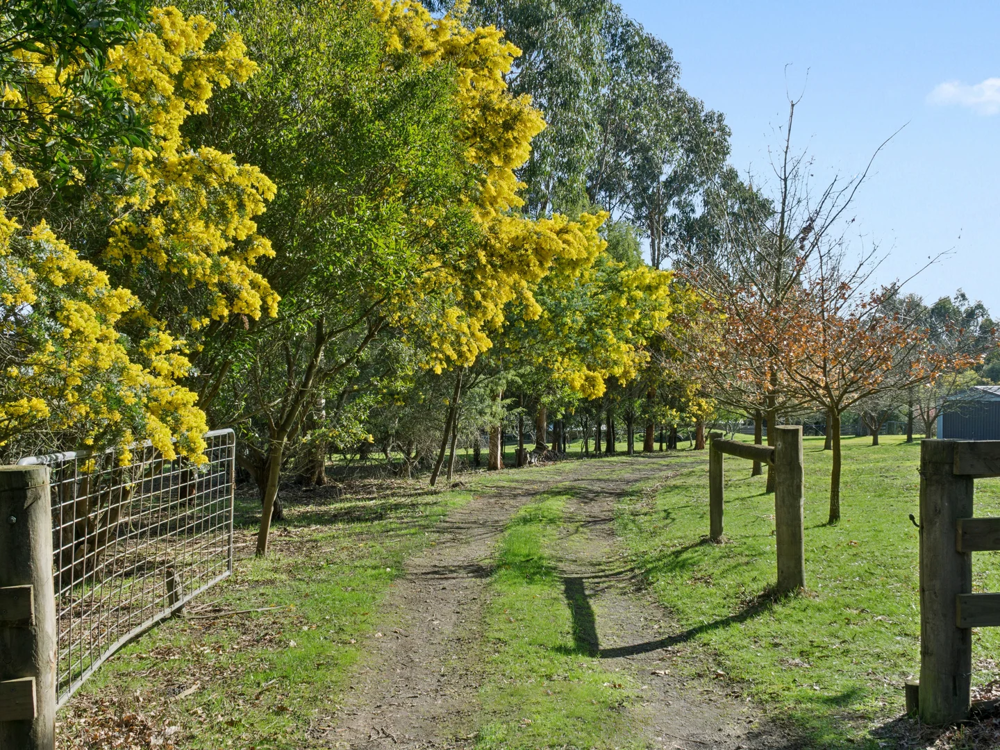 Additional image 12 of 240 Pipeline Road, Forrest VIC 3236