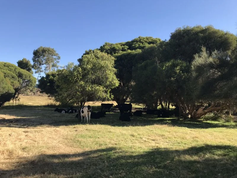 Additional image 9 of 130 Paris Road, Australind WA 6233