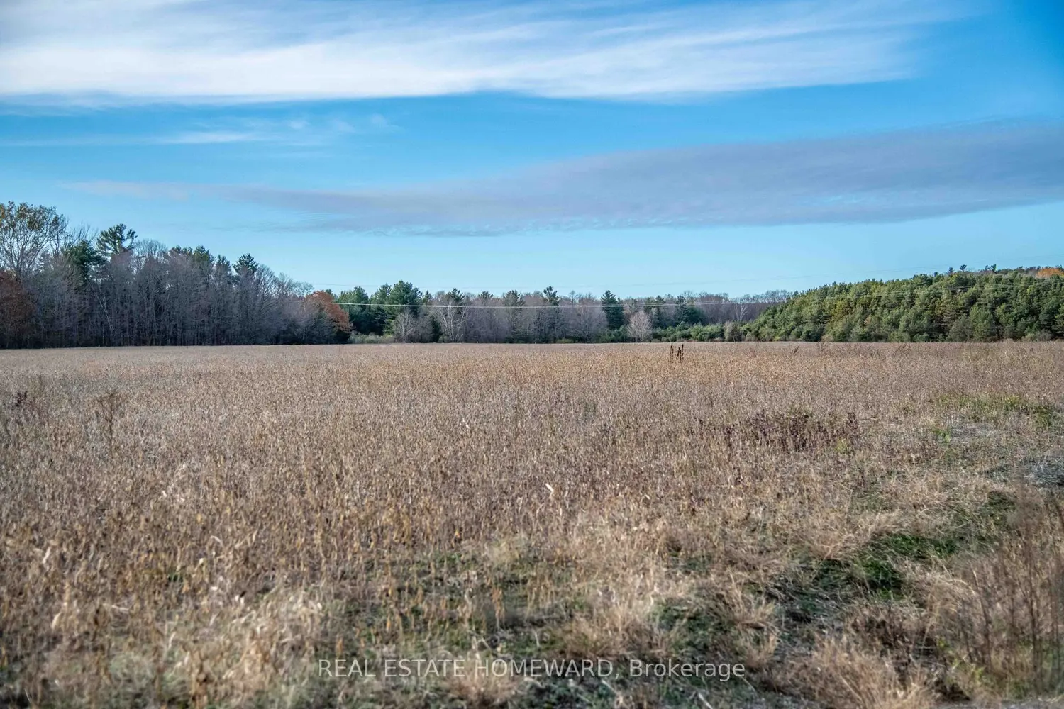 Additional image 7 of 4856 Cold Springs Camp Road