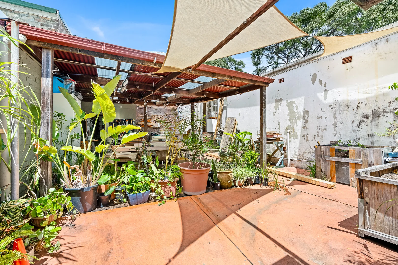 Additional image 5 of 24 Victoria Street, Lewisham NSW 2049