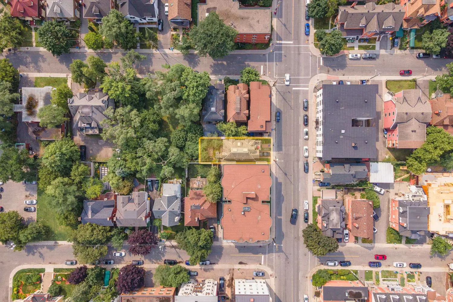 229 Charlotte Street photo 3
