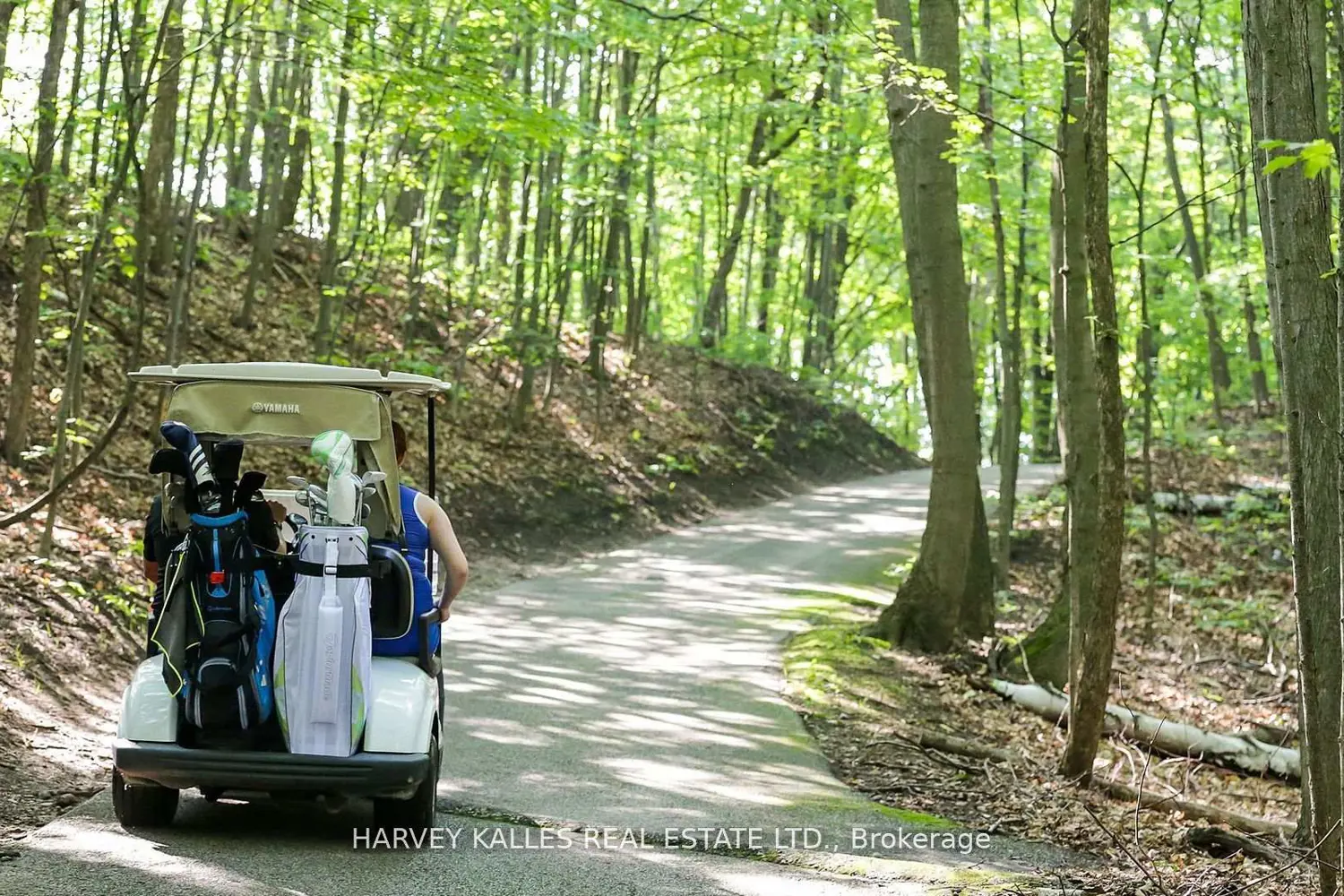 Additional image 15 of 40 Horseshoe Boulevard 416