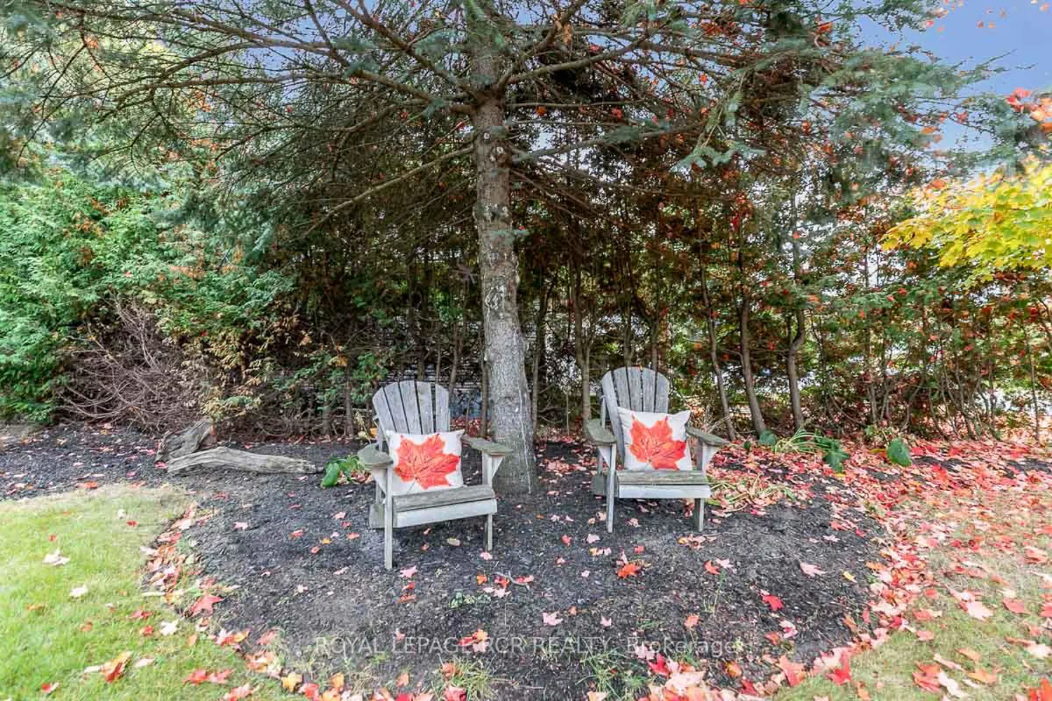 Additional image 2 of 77 Trafalgar Road