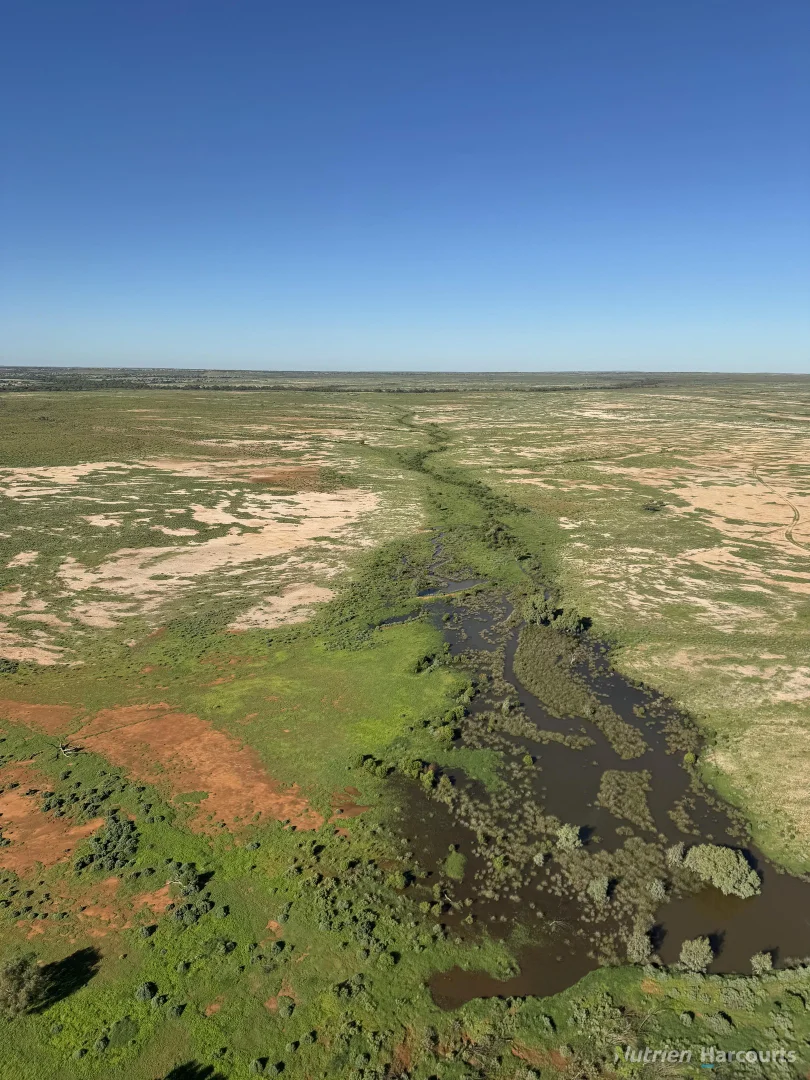 Additional image 22 of * Kayrunnera Station, 1944 Kayrunnera Road, Mutawintji NSW 2880