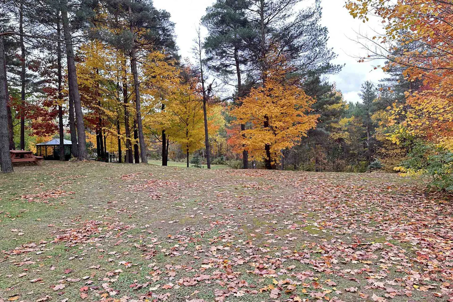 Additional image 11 of 26 Cranborne Chase