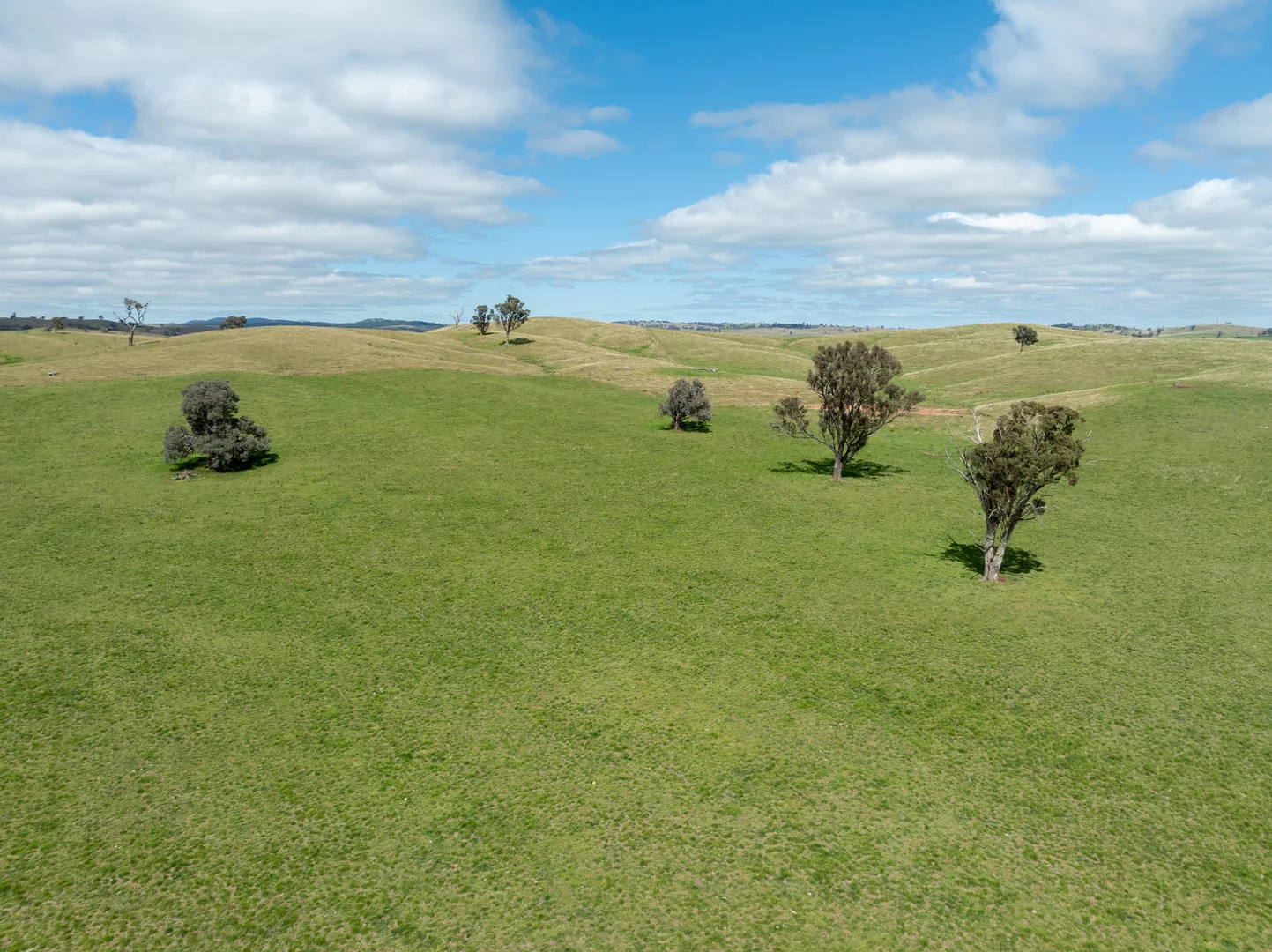 Additional image 21 of 'Cronga Peak' 157 Cronga Peak Road, Molong NSW 2866