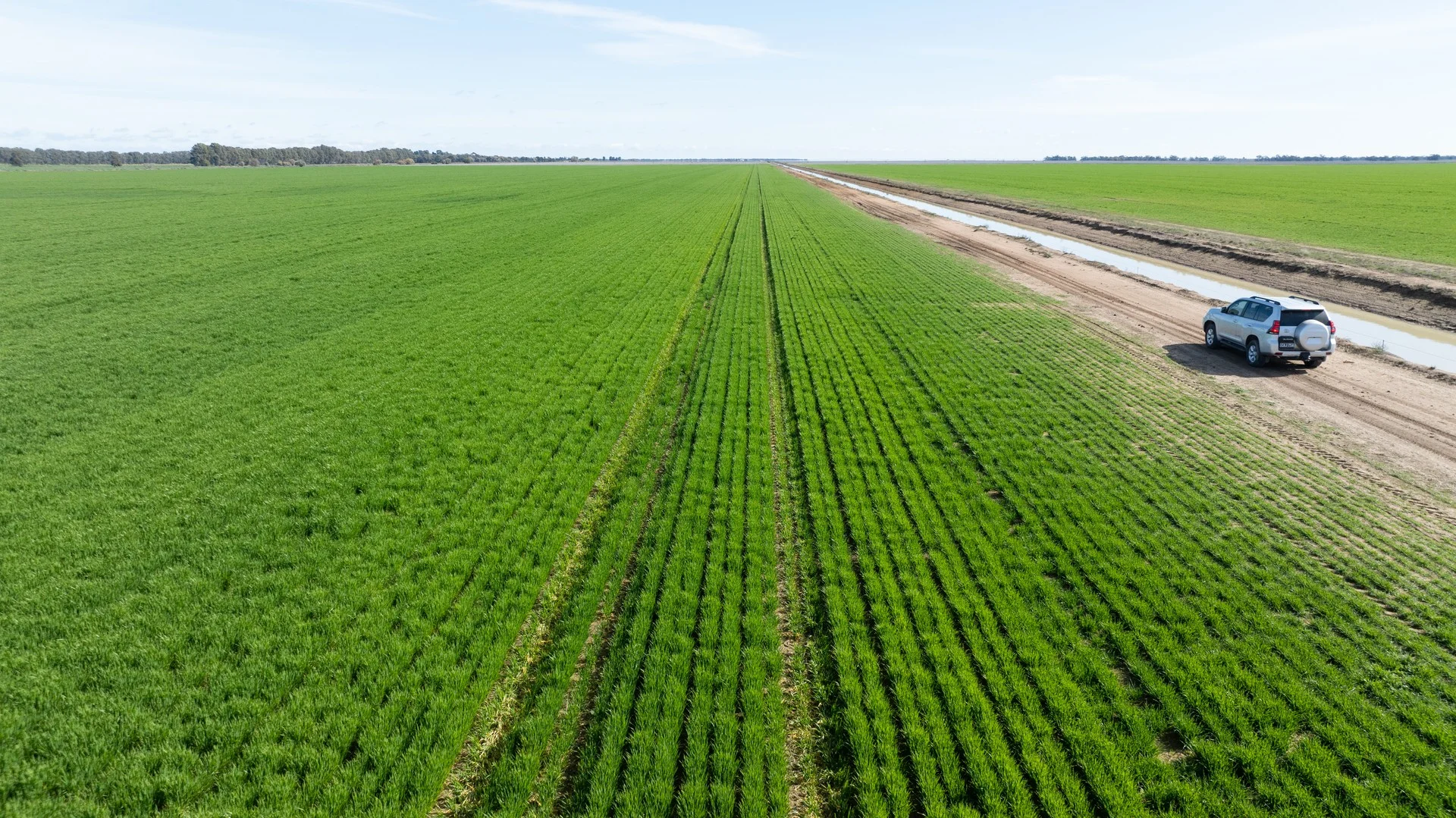 Smeatonvale Laterals Boree-Morago Rd, Deniliquin NSW 2710