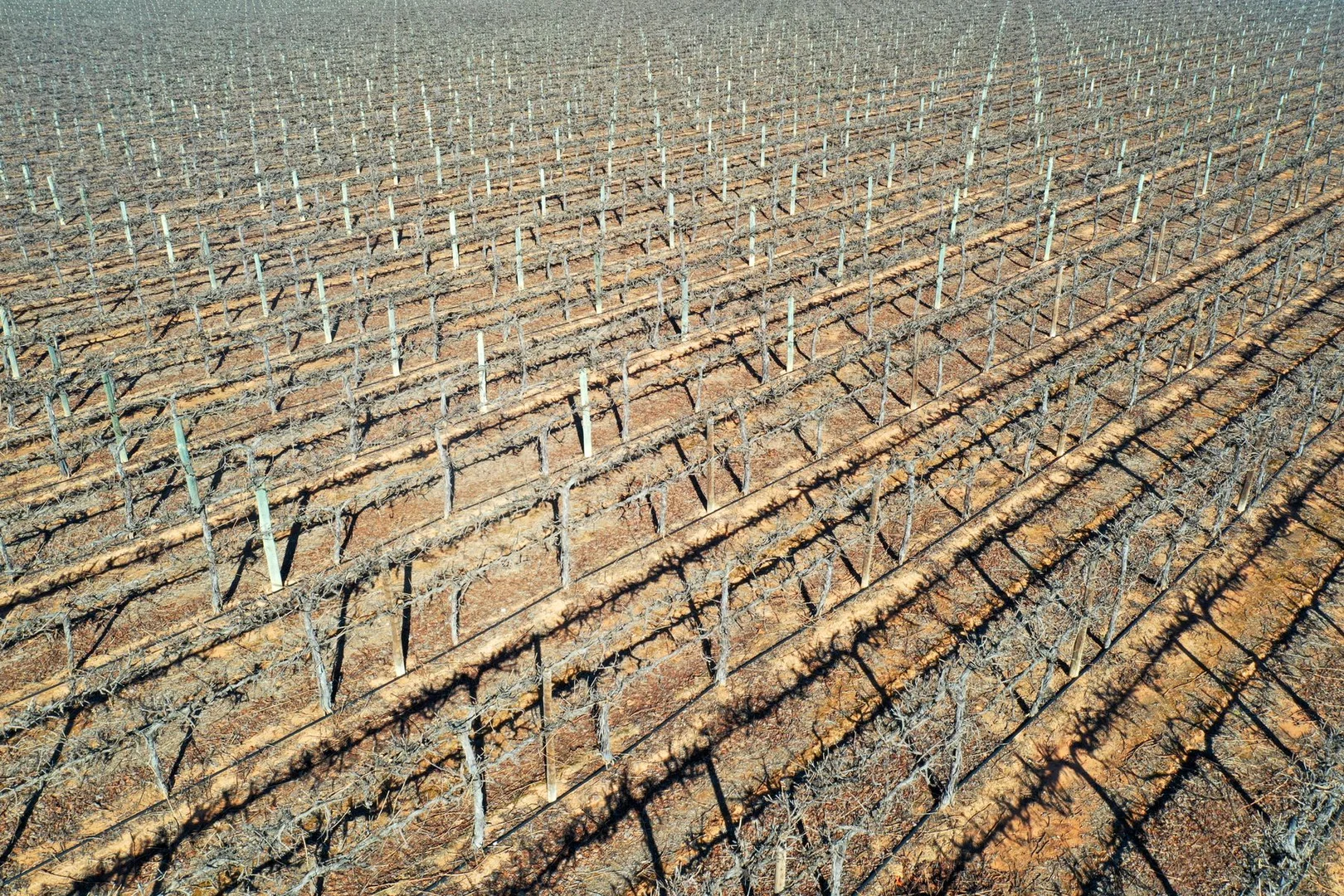 Additional image 11 of Lot 2 PS216987 Anzac Road, Robinvale VIC 3549