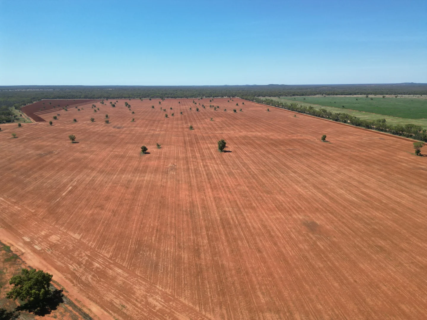 Additional image 11 of "Glendale"/4666 Mitchell Highway, Girilambone NSW 2831