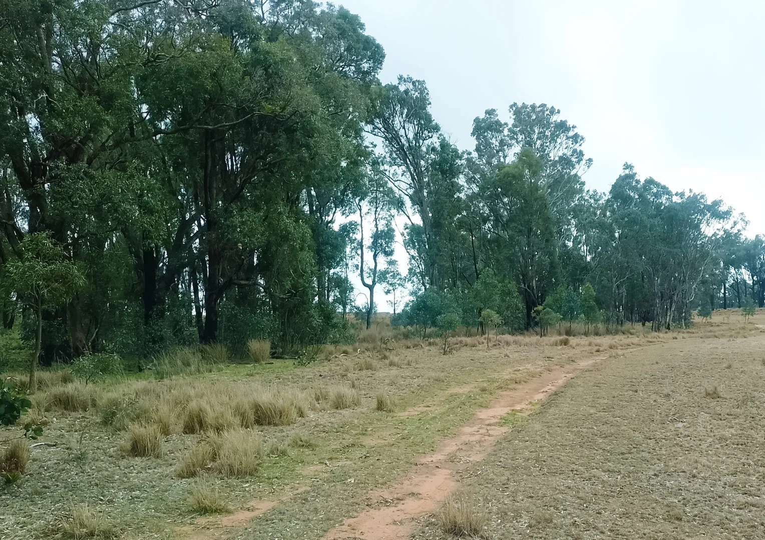 Additional image 6 of 22 Cainbill Road, Coolah NSW 2843