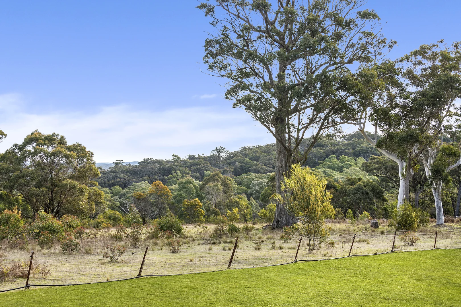 Additional image 14 of 631 Hanging Rock Road, Paddys River NSW 2653