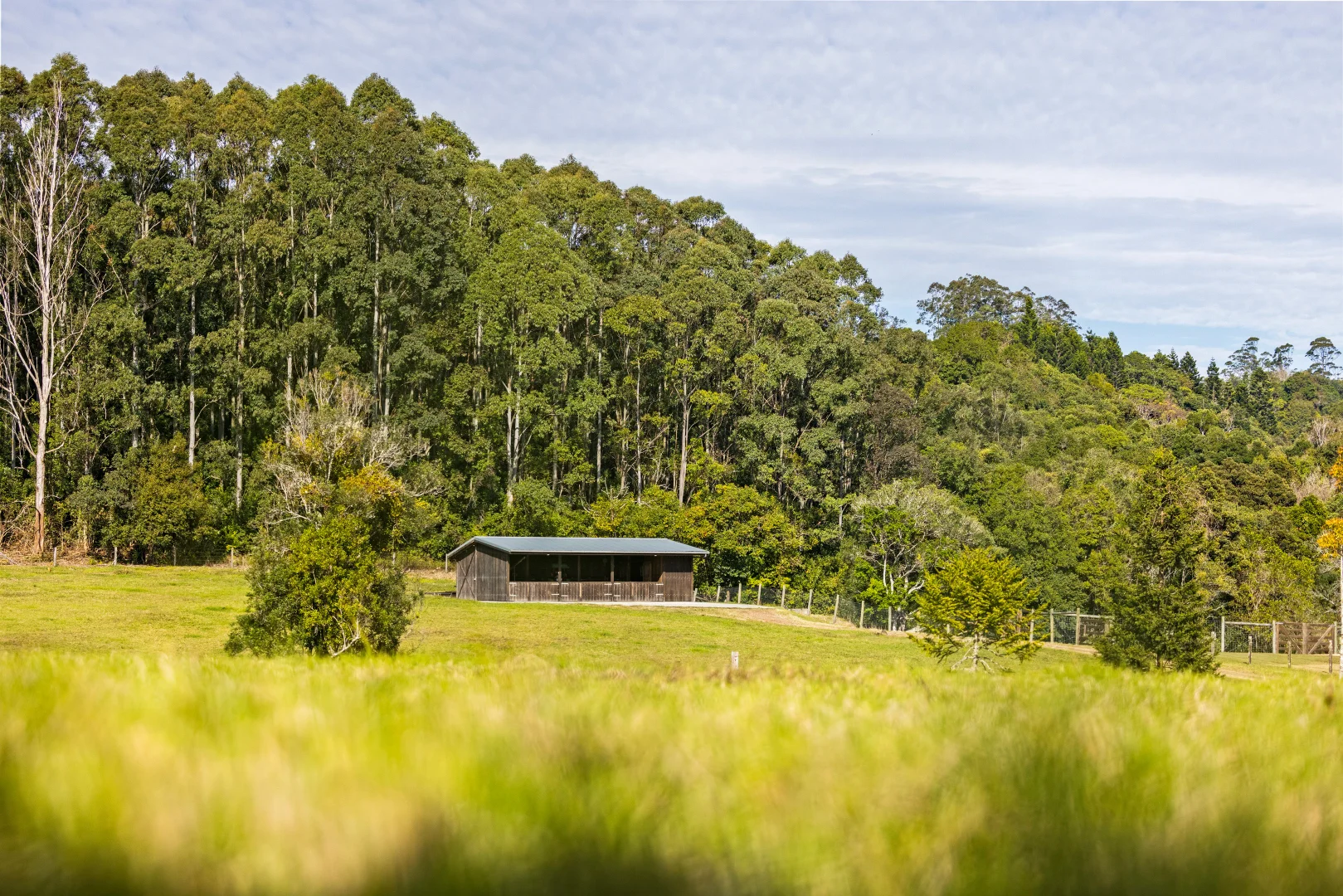 Additional image 39 of 55 Trail Road, Maleny QLD 4552