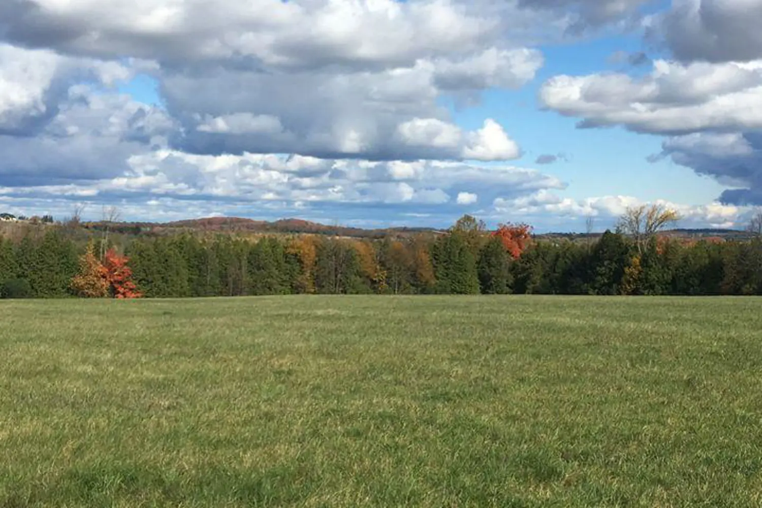 Additional image 11 of 323 Orange Corners Road