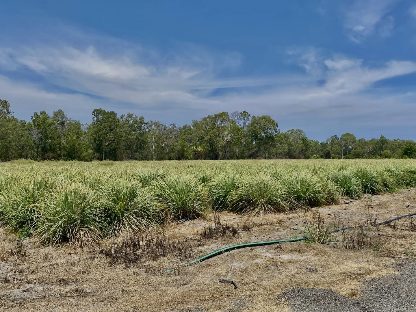 Additional image 9 of 1 Greta Road, Oak Valley QLD 4811
