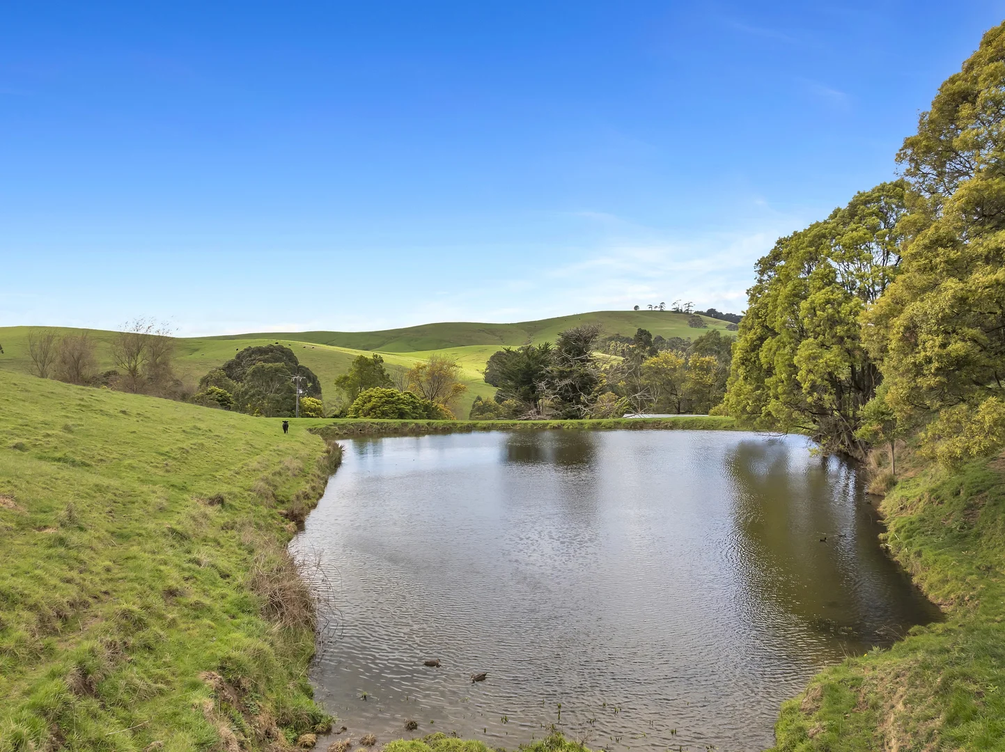 Additional image 19 of 210 Tozer Road, Almurta VIC 3979