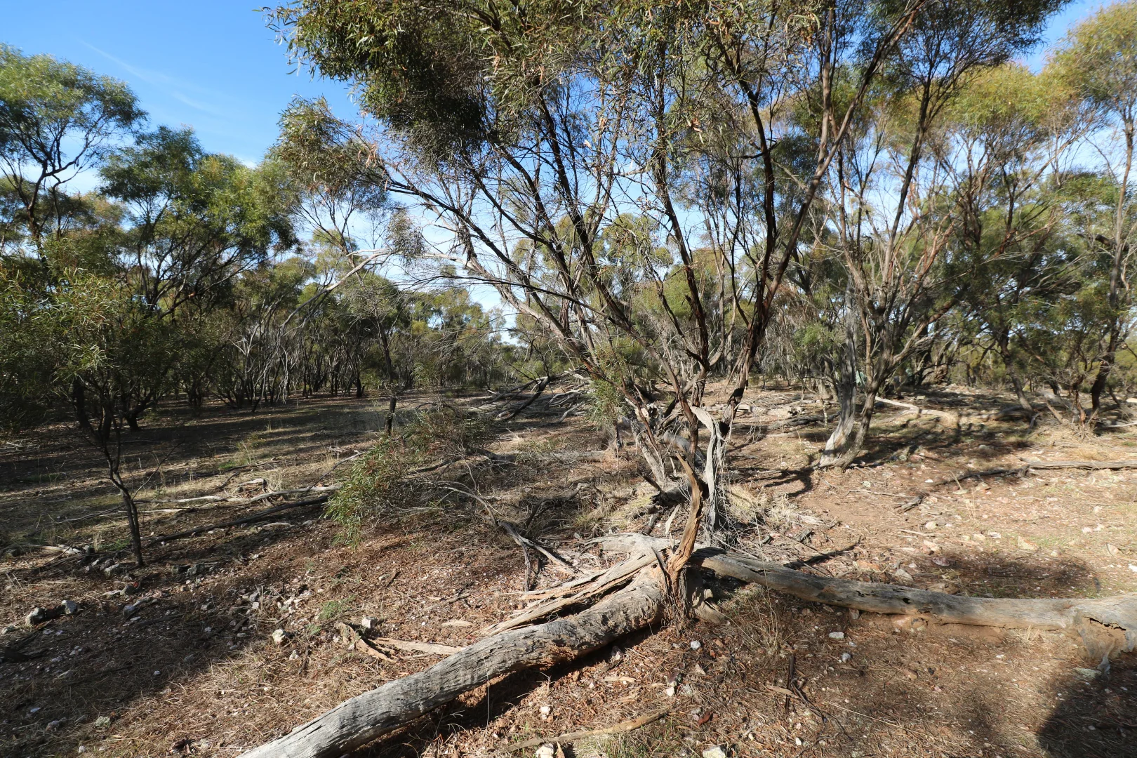 Additional image 30 of 84A Woolshed Flat Road, Wychitella VIC 3525