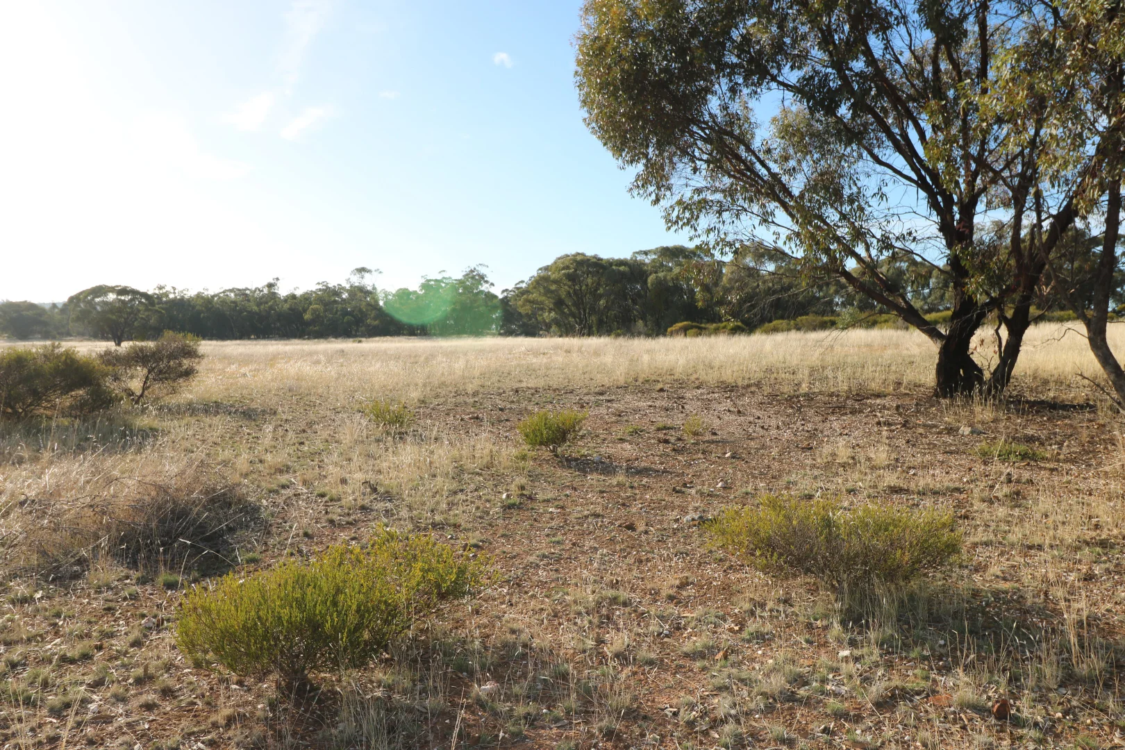 Additional image 18 of 84A Woolshed Flat Road, Wychitella VIC 3525