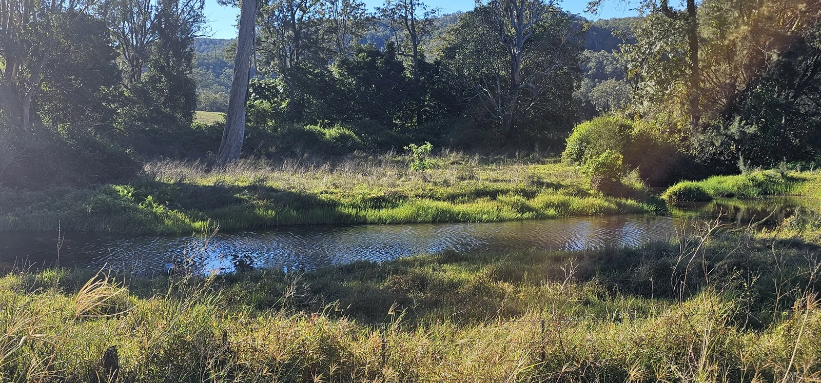 Additional image 5 of 2400 Busbys Flat Road, Busbys Flat NSW 2469