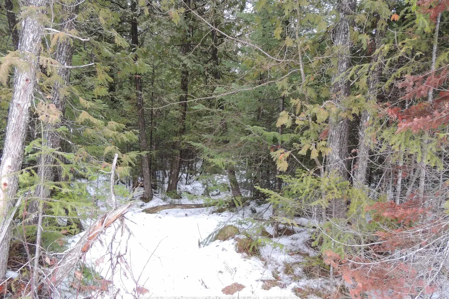 Additional image 4 of Ptlt 20 Southgate 57 Side Road