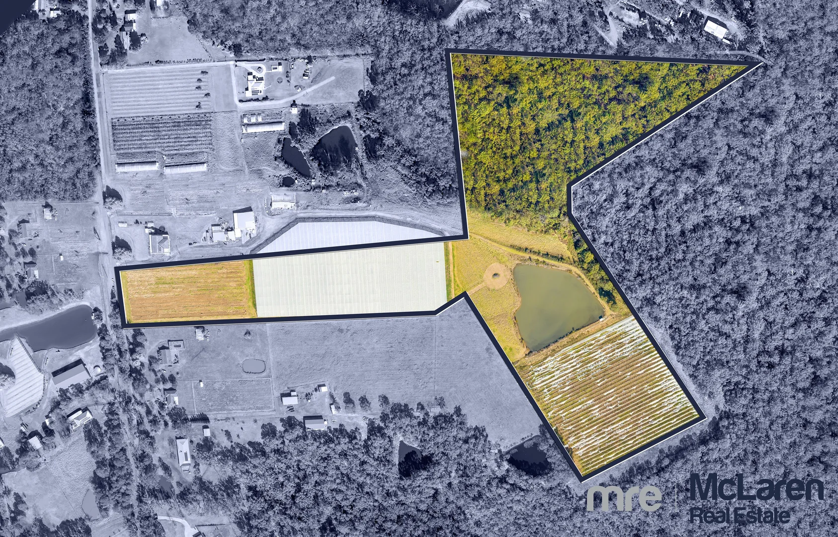 Additional image 11 of 141 Aberfoyle Road, Wedderburn NSW 2560