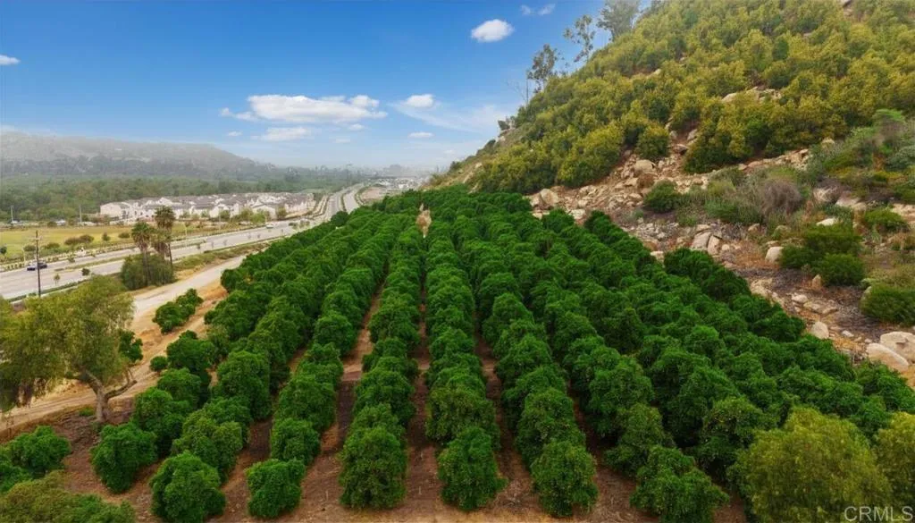 Additional image 23 of 348 Sweet Place, Fallbrook, CA 92028