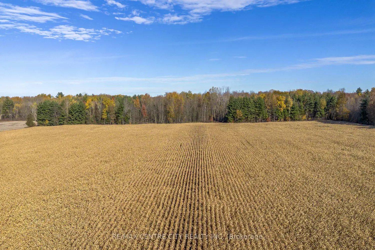 Additional image 10 of Pt Lt 140&141 Col Talbot Road