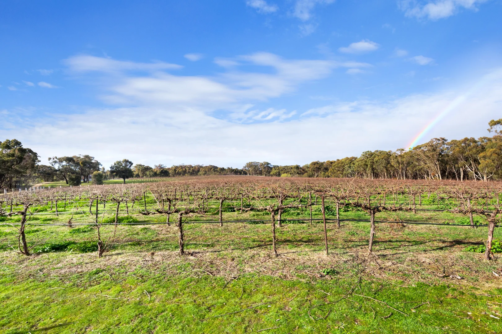 Additional image 7 of 20 Morris Lane, Avoca VIC 3467