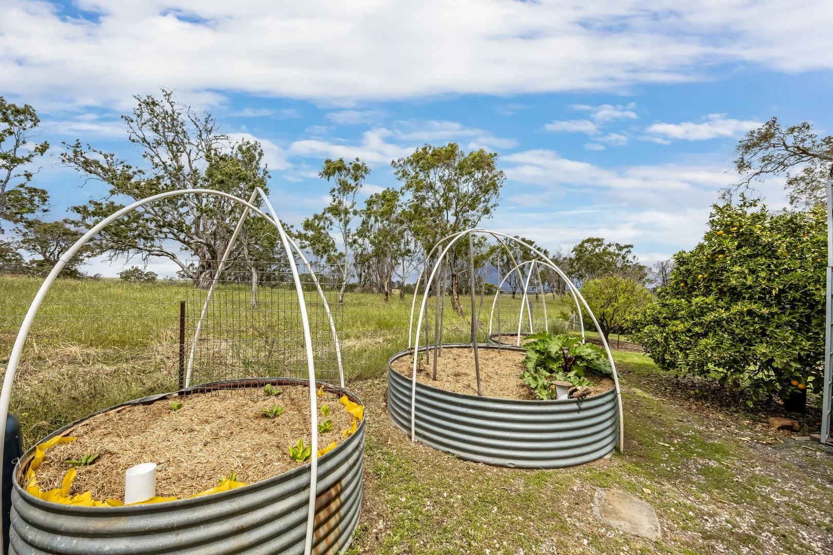 Additional image 25 of 83 Spring Lane, Mount Barker Springs SA 5251