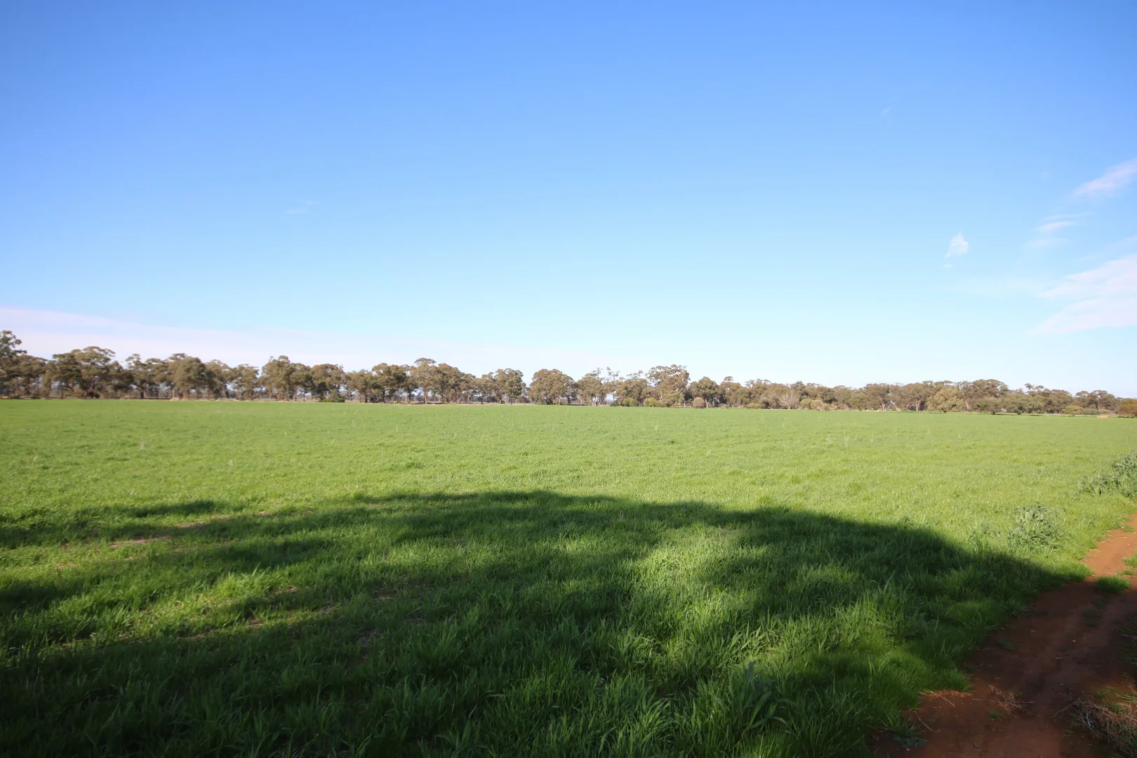 Additional image 6 of 25 Trewicks Road, Elmore VIC 3558