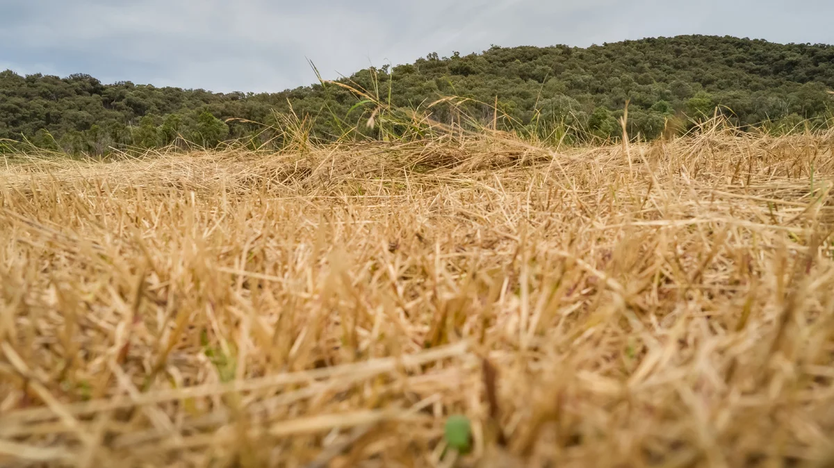 Additional image 6 of 1 Twist Creek Road, Yackandandah VIC 3749