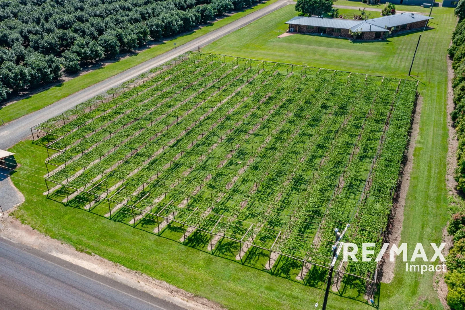 Additional image 25 of 119 Beantree Road, Atherton QLD 4883