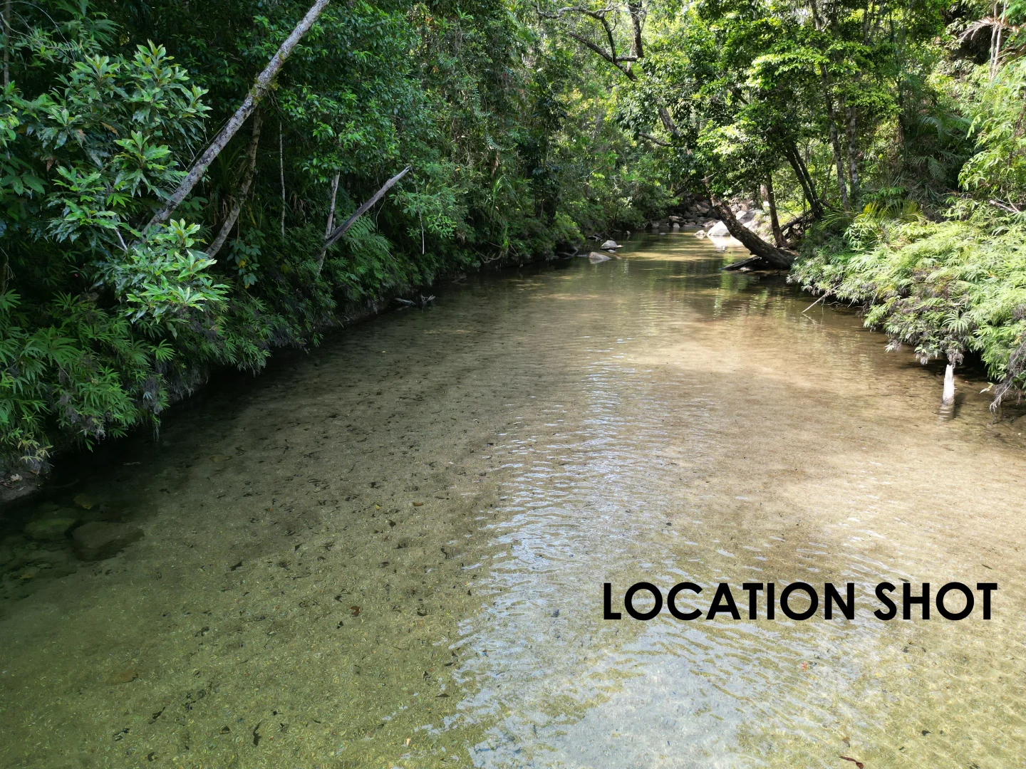 Additional image 31 of 541 Bulgun Rd, Feluga QLD 4854